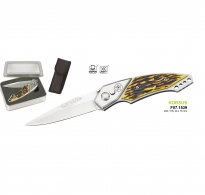 Korsus